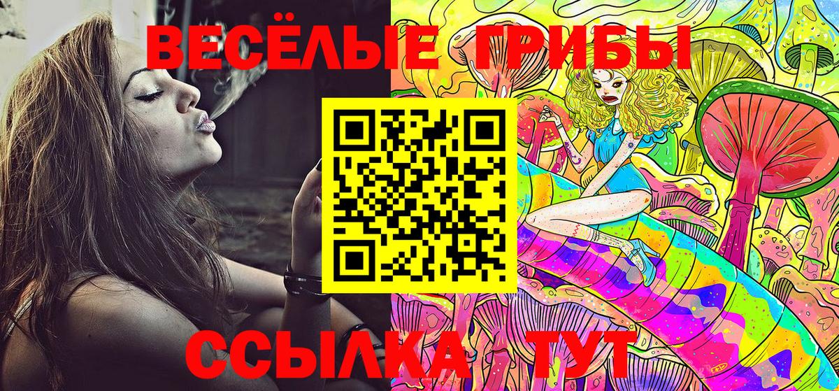 Галлюциногенные грибы Psilocybine cubensis  Галлюциногенные грибы прущие грибы  Медногорск  Вход с VPN 
