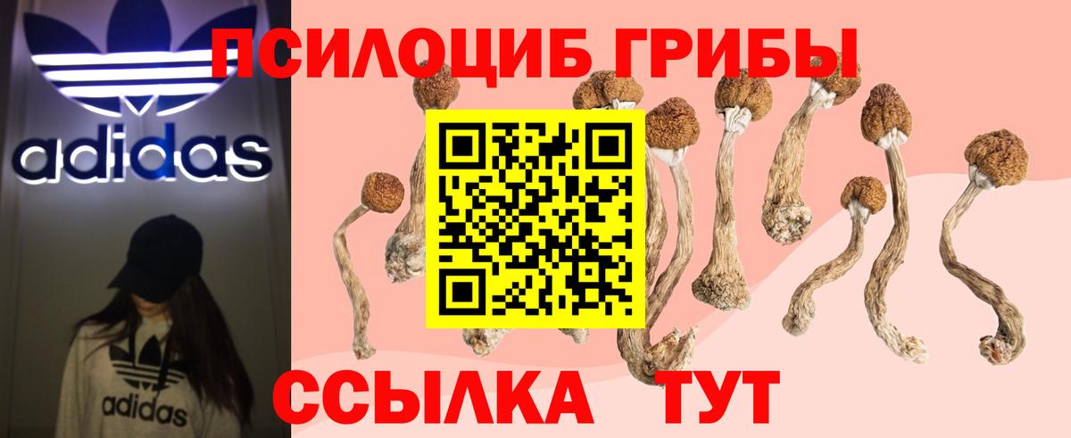 Псилоцибиновые грибы MAGIC MUSHROOMS Медногорск